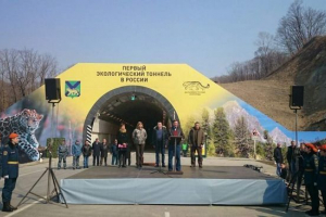 Primorsky kraiban épített egy alagút a leopárdok számára Primorsky kraiban épített egy alagút a leopárdok számára
